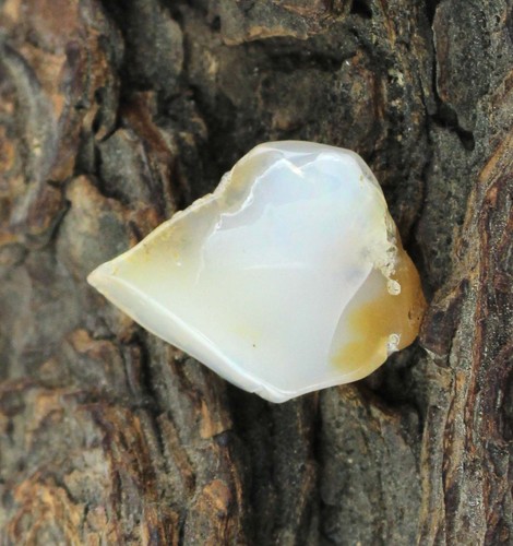Pietre opale naturale - ct,