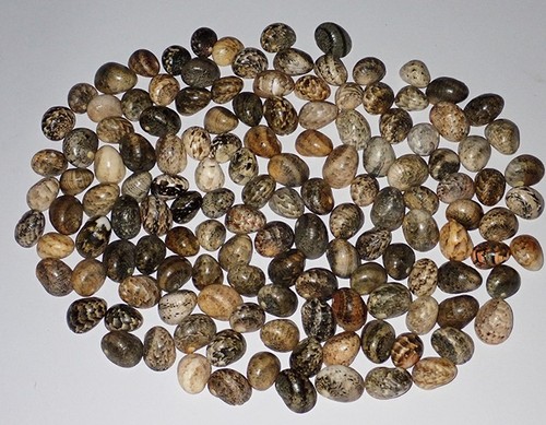 Mix pattern 30 pezzi - mix,