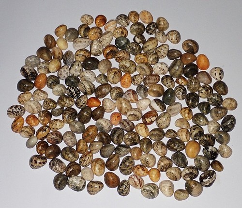 Mix pattern 50 - mix,